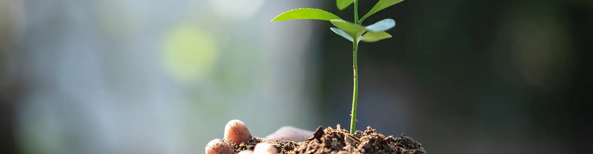 RFID and sustainability